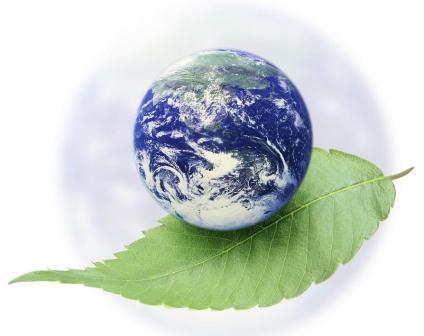 Environment Focus
